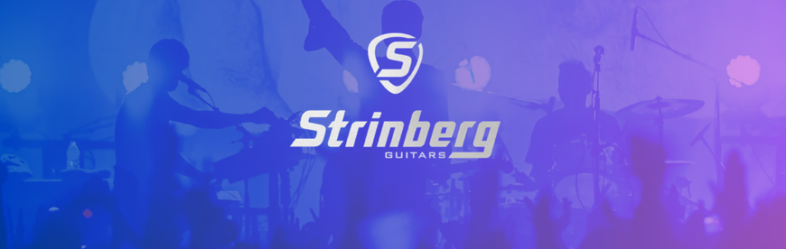 BANNER STRINBERG